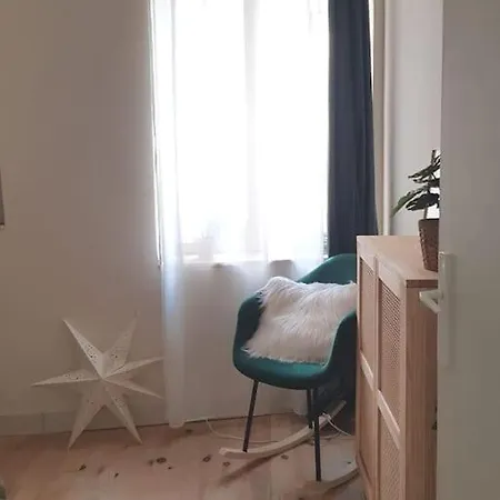 Bel Appartement, 2 Chambres, Centre Ville Thiers Extérieur photo