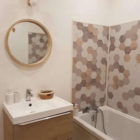 Bel Appartement, 2 Chambres, Centre Ville Thiers Extérieur photo